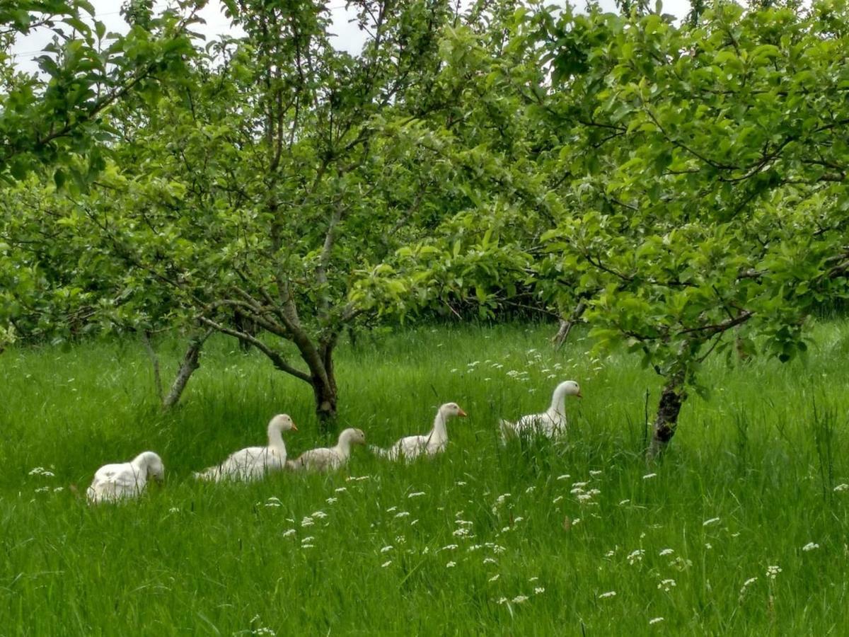 Bastle Retreats Farm Cottage Duns Zewnętrze zdjęcie